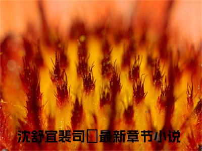 沈舒宜裴司璟（沈舒宜裴司璟）最新完结免费阅读-（沈舒宜裴司璟）悬疑小说在线阅读
