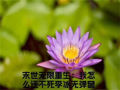 全网热搜（末世无限重生：我怎么还不死李冰）是什么小说，末世无限重生：我怎么还不死李冰免费阅读无弹窗