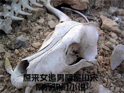 抖音热推原来女追男隔层山宋南乔无弹窗阅读原来女追男隔层山宋南乔小说免费阅读无弹窗
