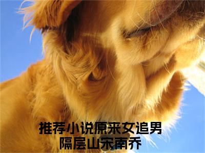 原来女追男隔层山宋南乔最新章节（原来女追男隔层山宋南乔免费阅读）-原来女追男隔层山宋南乔小说在线阅读完整版