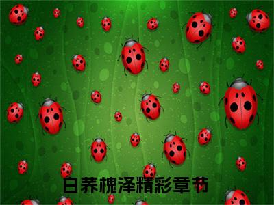 白荞槐泽（白荞槐泽）抖音热推小说全集无删减_（白荞槐泽免费阅读）最新章节列表
