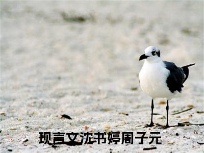 沈书婷周子元的小说（沈书婷周子元）免费阅读_沈书婷周子元小说免费阅读-笔趣阁