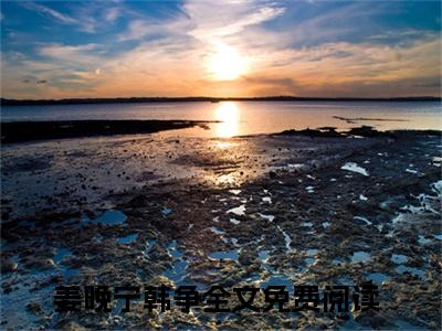 美文姜晚宁韩争大结局小说-小说（姜晚宁韩争）免费分享