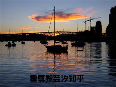 霍尊黎芸汐全文免费无弹窗大结局_ 霍尊黎芸汐免费霍尊黎芸汐最新章节列表_笔趣阁