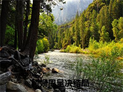 完整版小说（顾婉周呈决）最新在线阅读-顾婉周呈决小说（顾婉周呈决）免费阅读全文