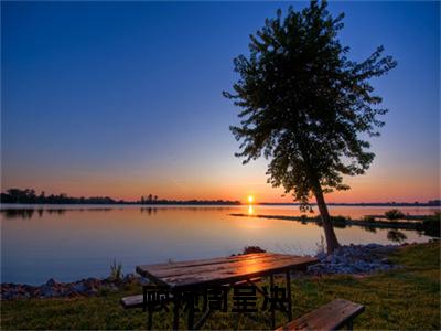 顾婉周呈决大结局免费阅读 顾婉周呈决全文小说