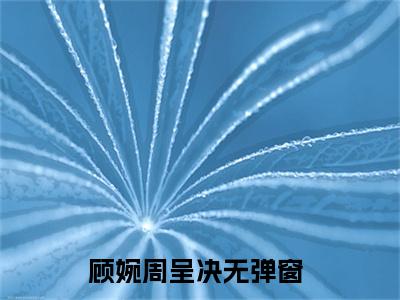 顾婉周呈决（顾婉周呈决）全文免费阅读无弹窗大结局_（顾婉周呈决）顾婉周呈决最新章节列表_笔趣阁（顾婉周呈决）