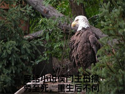 侯门主母操劳至死，重生后不伺候了沈青鸾全文免费阅读无弹窗_（侯门主母操劳至死，重生后不伺候了沈青鸾）全文在线阅读大结局