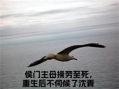 侯门主母操劳至死，重生后不伺候了沈青鸾（侯门主母操劳至死，重生后不伺候了沈青鸾全文免费）全文免费阅读_侯门主母操劳至死，重生后不伺候了沈青鸾全文免费阅读无弹窗最新章节列表_笔趣阁（侯门主母操劳至死，重生后不伺候了沈青鸾）
