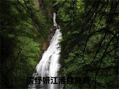 沈纾妍江淮肆（沈纾妍江淮肆）全文完整版免费阅读_（沈纾妍江淮肆小说免费阅读）最新章节列表