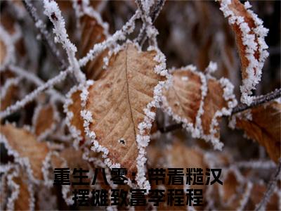 重生八零：带着糙汉摆摊致富李程程全文免费阅读无弹窗大结局_重生八零：带着糙汉摆摊致富李程程章节列表_笔趣阁
