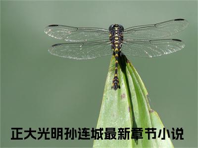 正大光明孙连城无弹窗热文在线阅读-正大光明孙连城小说在哪里可以看
