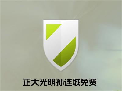 正大光明孙连城（正大光明孙连城）全文免费阅读无弹窗大结局_正大光明孙连城全文阅读_笔趣阁（正大光明孙连城）