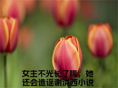 女主不光长了嘴，她还会造谣谢泷西小说免费大结局全集免费阅读 女主不光长了嘴，她还会造谣谢泷西章节目录