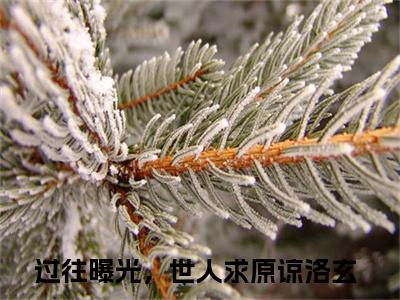 过往曝光，世人求原谅洛玄（过往曝光，世人求原谅洛玄)全文免费阅读无弹窗大结局_过往曝光，世人求原谅洛玄全文完整无删减版免费阅读（过往曝光，世人求原谅洛玄）