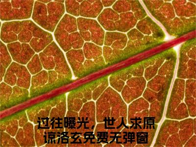 过往曝光，世人求原谅洛玄今日阅读更新 过往曝光，世人求原谅洛玄推荐免费新书