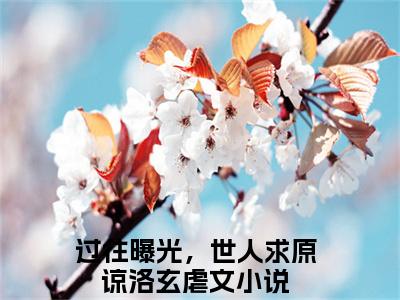 过往曝光，世人求原谅洛玄免费阅读无弹窗大结局，过往曝光，世人求原谅洛玄（最新全章节）全文阅读免费阅读-笔趣阁