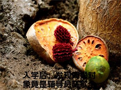 入学后，发现闪婚对象竟是辅导员陈歌（入学后，发现闪婚对象竟是辅导员陈歌小说）全文免费阅读无弹窗大结局_入学后，发现闪婚对象竟是辅导员陈歌小说最新章节列表_（入学后，发现闪婚对象竟是辅导员陈歌）