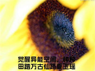 觉醒异能空间，种种田踏万古仙路夏玉瑶最新热门榜单小说- 觉醒异能空间，种种田踏万古仙路夏玉瑶精彩章节在线阅读