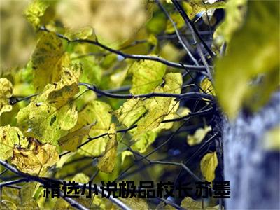 极品校长苏墨（极品校长苏墨）正版免费小说-极品校长苏墨抖音新上热文分享