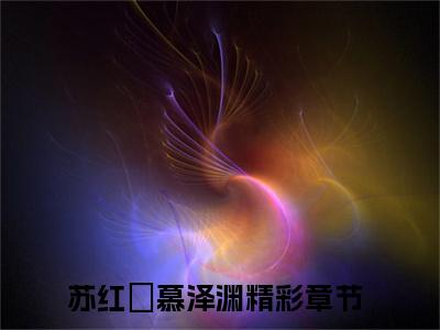 苏红葉慕泽渊是什么小说-苏红葉慕泽渊无弹窗免费阅读大结局最新章节列表_笔趣阁