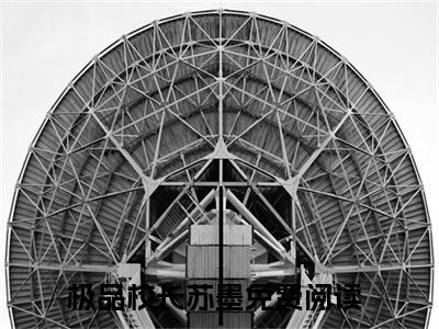 极品校长苏墨免费小说 极品校长苏墨在线阅读