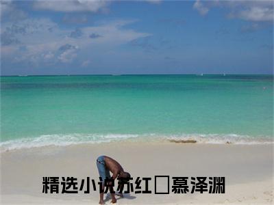 苏红葉慕泽渊小说最新章节在线阅读_苏红葉慕泽渊在线阅读