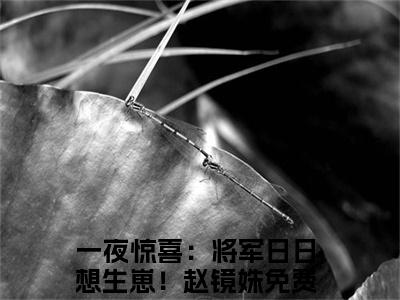 一夜惊喜：将军日日想生崽！赵镜姝全文免费阅读无弹窗大结局_一夜惊喜：将军日日想生崽！赵镜姝全文免费无弹窗最新章节列表_笔趣阁