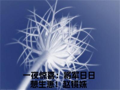 一夜惊喜：将军日日想生崽！赵镜姝(一夜惊喜：将军日日想生崽！赵镜姝)全文免费阅读无弹窗大结局_一夜惊喜：将军日日想生崽！赵镜姝无弹窗最新章节列表_笔趣阁