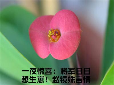一夜惊喜：将军日日想生崽！赵镜姝（一夜惊喜：将军日日想生崽！赵镜姝）小说全文在线阅读_一夜惊喜：将军日日想生崽！赵镜姝最新章节在线阅读_笔趣阁