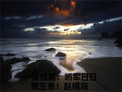 一夜惊喜：将军日日想生崽！赵镜姝（一夜惊喜：将军日日想生崽！赵镜姝）全文免费阅读无弹窗_一夜惊喜：将军日日想生崽！赵镜姝最新小说_笔趣阁（一夜惊喜：将军日日想生崽！赵镜姝）