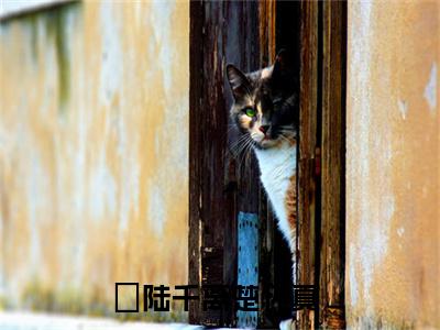 陆千离楚怀真（陆千离楚怀真）正版免费小说-陆千离楚怀真抖音新上热文分享