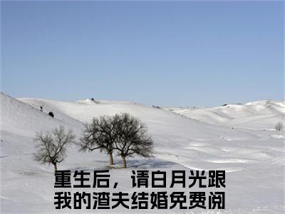 热门小说重生后，请白月光跟我的渣夫结婚全文免费阅读无弹窗大结局-时泱厉南驰全文无弹窗免费阅读大结局