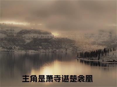 萧寺谌楚衾凰小说（萧寺谌楚衾凰）全文免费阅读-萧寺谌楚衾凰精彩章节在线阅读