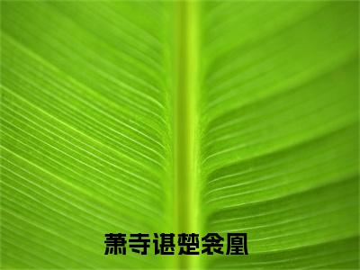 萧寺谌楚衾凰小说全文免费阅读 萧寺谌楚衾凰小说全文在线赏析_笔趣阁