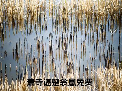 萧寺谌楚衾凰（萧寺谌楚衾凰）小说全文免费阅读-萧寺谌楚衾凰免费阅读完整版