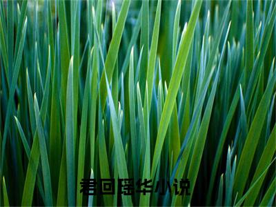 君回瑶华（君回瑶华）全文免费阅读大结局-君回瑶华完整版无弹窗