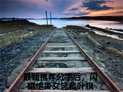 分手后，闪婚绝美女总裁叶枫(分手后，闪婚绝美女总裁叶枫)小说免费阅读无弹窗大结局_(分手后，闪婚绝美女总裁叶枫)分手后，闪婚绝美女总裁叶枫最新章节列表笔趣阁（分手后，闪婚绝美女总裁叶枫）