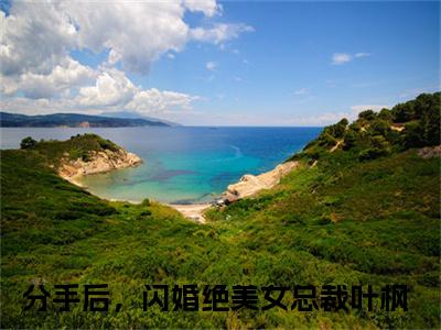 分手后，闪婚绝美女总裁叶枫经典小说无广告小说免费阅读 分手后，闪婚绝美女总裁叶枫全章节免费阅读