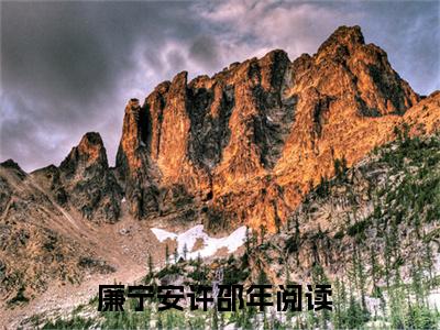 好书推荐小说廉宁安许邵年-廉宁安许邵年全文免费阅读大结局