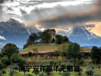 廉宁安许邵年小说免费阅读-（廉宁安许邵年）言情小说讲的是什么