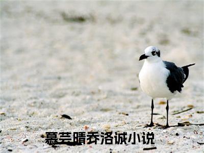 慕芸晴乔洛诚小说已完结（慕芸晴乔洛诚）全文免费阅读无弹窗大结局_慕芸晴乔洛诚最新章节列表（慕芸晴乔洛诚）
