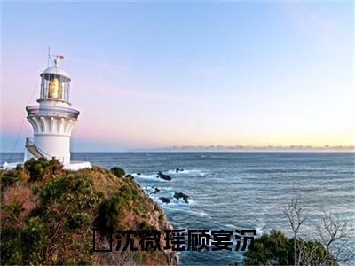 沈微瑶顾宴沉小说最新章节-沈微瑶顾宴沉在线全文免费阅读