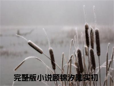 顾锦汐陆实初小说全文-顾锦汐陆实初小说免费阅读大结局
