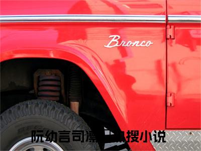 阮幼言司凛彧全集完整版大结局-阮幼言司凛彧小说在线赏析
