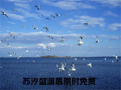 苏汐盛渊慕（苏汐盛渊慕小说）全文免费阅读无弹窗大结局_（苏汐盛渊慕阅读无弹窗）苏汐盛渊慕小说章节列表_笔趣阁