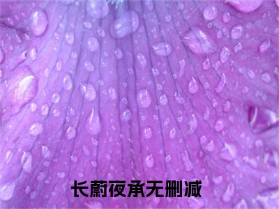 主角叫长蔚夜承的小说-《长蔚夜承》长蔚夜承最新章节在线阅读