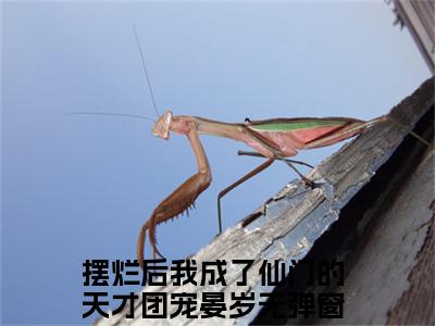 摆烂后我成了仙门的天才团宠晏岁（摆烂后我成了仙门的天才团宠晏岁）小说大结局全文免费阅读-摆烂后我成了仙门的天才团宠晏岁抖音小说