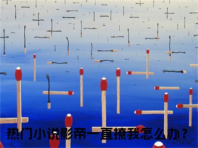 影帝一直撩我怎么办？（傅斯寒慕南笙）精彩满分小说-强烈推荐傅斯寒慕南笙（影帝一直撩我怎么办？）小说精彩全文阅读