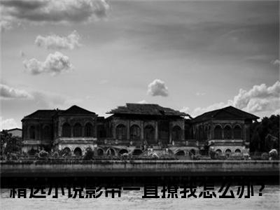 傅斯寒慕南笙影帝一直撩我怎么办？多人追免费无弹窗小说，影帝一直撩我怎么办？已完结全集大结局